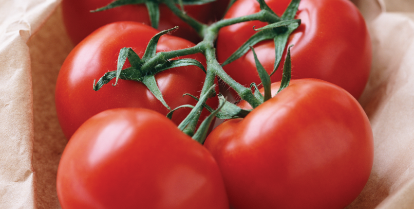 Tomatoes on the vine